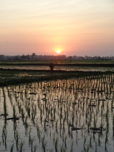 Puesta de sol en los campos de arroz de Tabanan